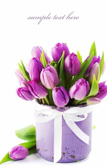 Картина на холсте Букет фиолетовых тюльпанов, арт hd0549001
