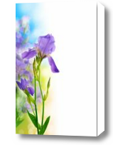 Картина Прекрасный фиолетовый цветок